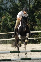 /album/ilunumhorses-mz/che-jpg/