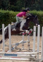 /album/ilunumhorses-mz/vv-jpg/