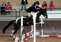 /album/ilunumhorses-mz/dsc00014-jpg1/