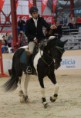 /album/csn-equiocio-2013/dsc00059-jpg/