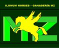 /album/csn-equiocio-2013/ilu-jpg1/